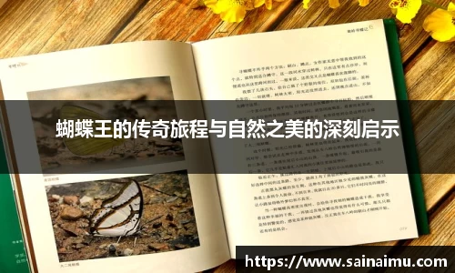 蝴蝶王的传奇旅程与自然之美的深刻启示